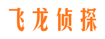 永平飞龙私家侦探公司